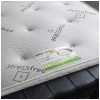 Stress Free Mattress