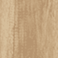 Golden Oak