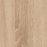 Bordilino Oak